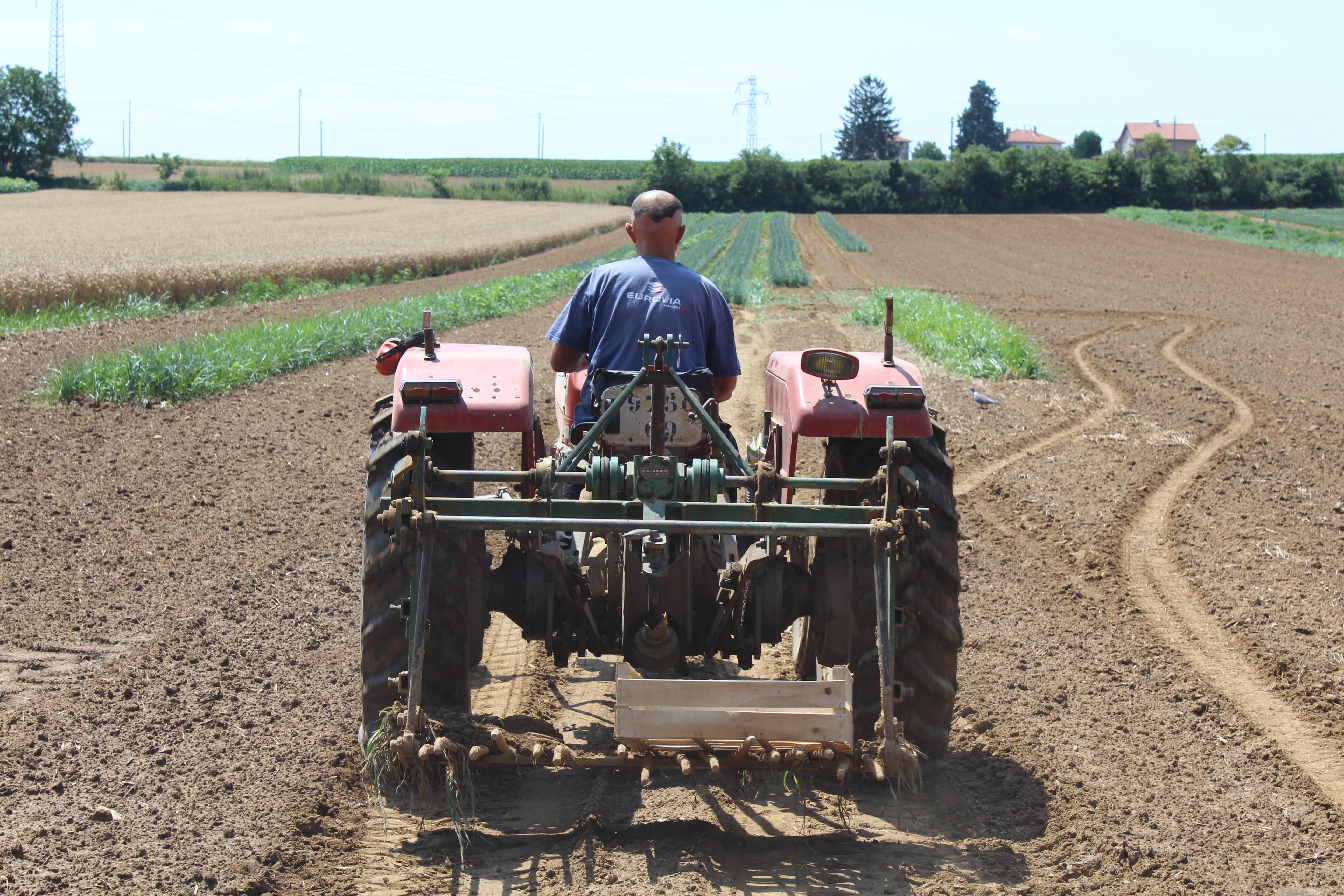 Agriculteur Grandes Terres