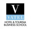 Logo_VATEL.jpg