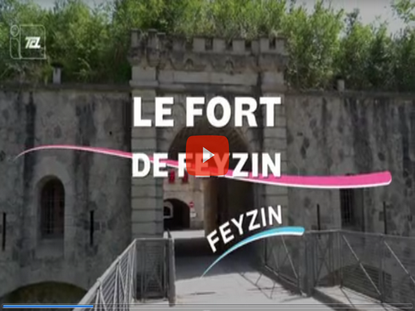 ITCL FORT FEYZIN