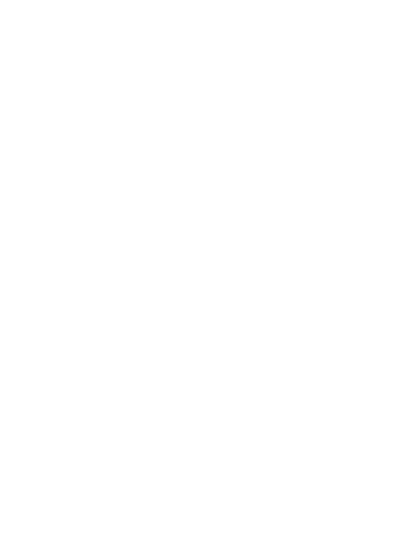 euro